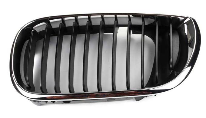 Kidney Grille - Front Driver Side (Black)